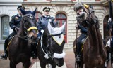 Aukcja koni straży miejskiej w Łodzi