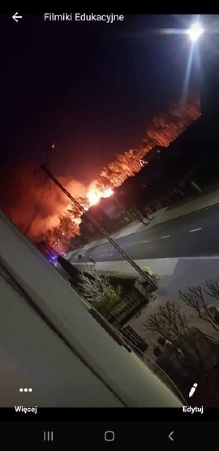 Pożar w Lubni 12.04.2020 r. Paliła się sterta drewna. Wielka łuna ognia nad lasem. Na miejscu 16 zastępów straży pożarnej