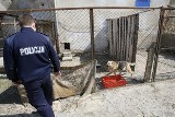 Burmistrz Pieszyc skazany za porzucenie psów. Zobacz w jakich warunkach żyły