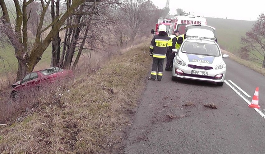 Wypadek w Ptakowicach. Kierująca samochodem uderzyła w drzewo, jest ciężko ranna