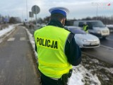 "Bezpieczny pieszy" w Częstochowie. Policja stwierdziła ponad 100 wykroczeń