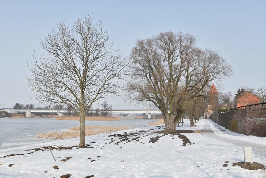 Malbork. Na bulwarze trwają prace, a rozpoczął się też remont miejskiego kąpieliska