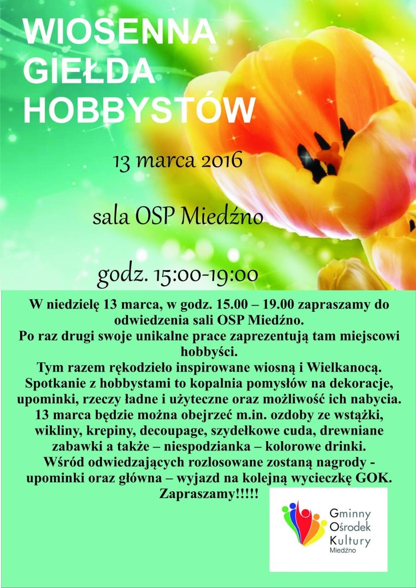 Wiosenna giełda hobbystów w Miedźnie