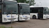 Elektryczne autobusy w Zduńskiej Woli coraz dalej. MPK nie dostało pieniędzy na ich zakup [zdjęcia]