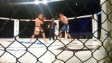 Profesjonalna Liga MMA - PL MMA 43 we Włocławku