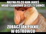 Najlepsze memy o Ostrowcu Świętokrzyskim. Z czego największy ubaw mają internauci? Zobaczcie memy i śmieszne obrazki o Ostrowcu