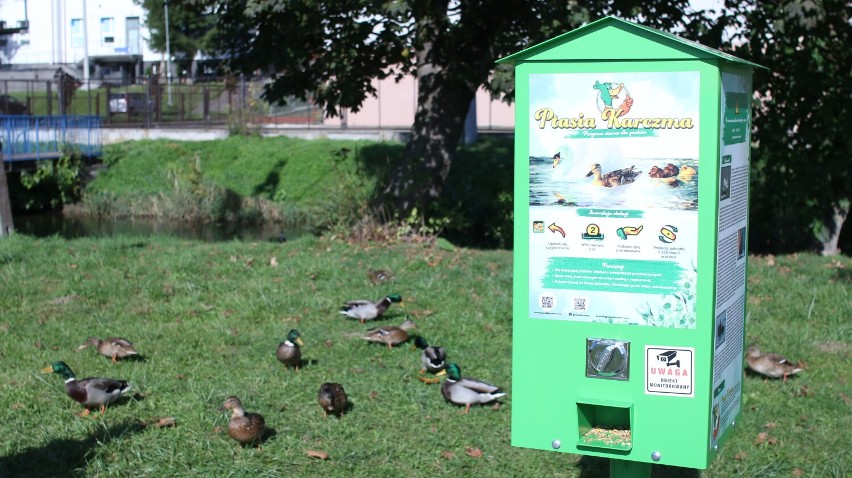Urządzenie do dokarmiania ptaków stanęło w parku "Zalew nad...