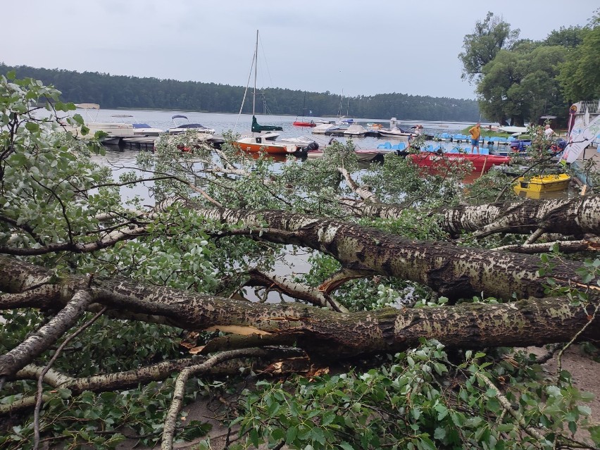 Nawałnica w Wągrowcu. Przez powiat wągrowiecki przechodzą burze. Straż pożarna odebrała ponad 100 zgłoszeń