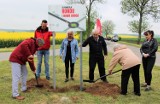 W Kurowie Wielkim przebudują niebezpieczne skrzyżowanie na rondo. To krzyżówka w kierunku Dalkowa i Gostynia 