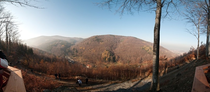 Widok z platformy widokowej na zboczu Koci Grzbiet. Od...