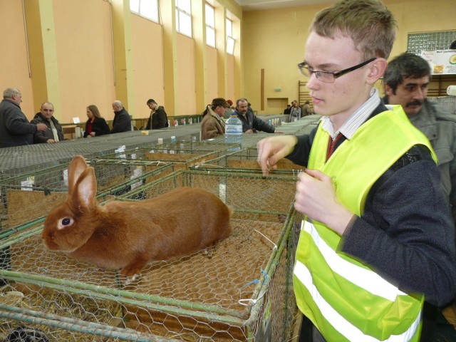 Jedne okazy były ruchliwe, inne leniwe