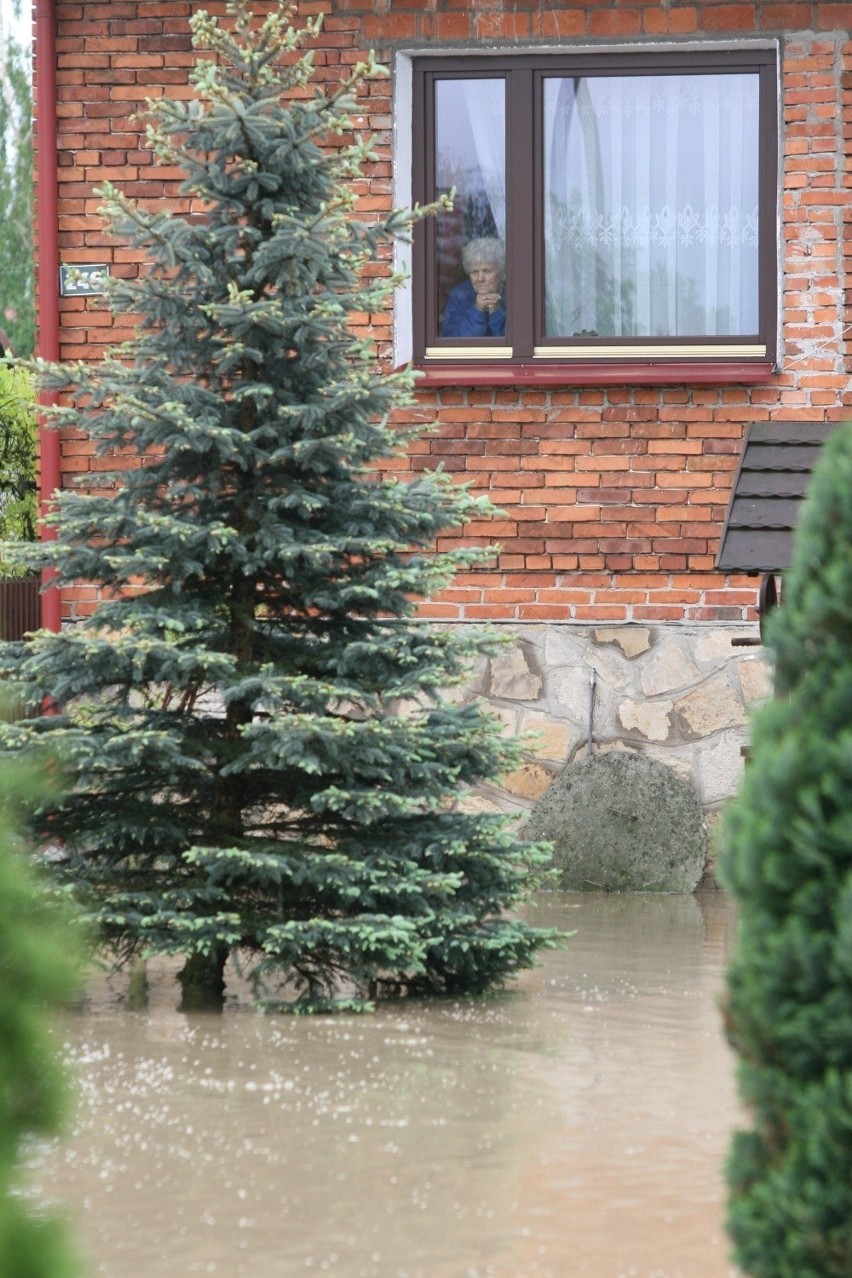 Powódź 2010 roku w Tarnobrzegu. ZOBACZ ZDJĘCIA - CZĘŚĆ 2