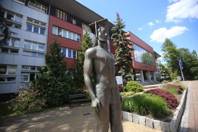 Uniwersytet Śląski