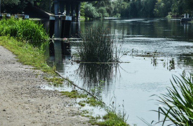 Wysoki poziom Brdy przy moście Pomorskim. Woda zalewa bulwary. Dziwnie brzmią doniesienia o suszy, gdy patrzy się na takie zdjęcia.


Pogoda na dzień (28.07.2016) | KUJAWSKO-POMORSKIE
TVN Meteo Active

