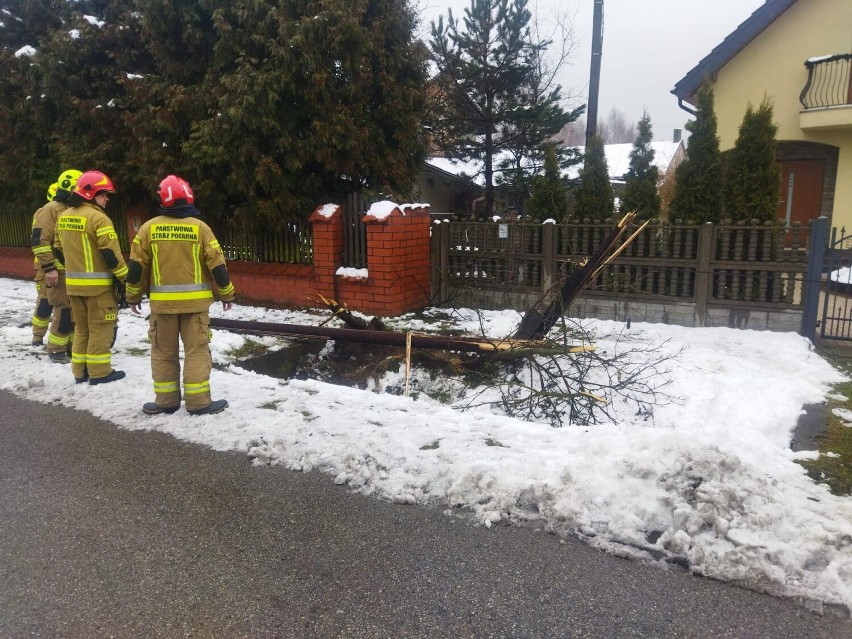 Strażacy interweniowali w Błędowie, gdzie kierująca skodą...