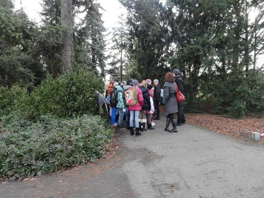 Poznań: Noc Biologów w Ogrodzie Botanicznym [ZDJĘCIA, WIDEO]