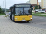 MZK Koszalin - Miejski przewoźnik transportowy w Koszalinie