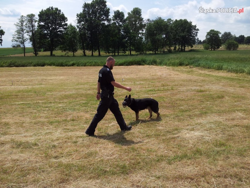 Policja: oto najlepsi policjanci i ich psi towarzysze [ZDJĘCIA]
