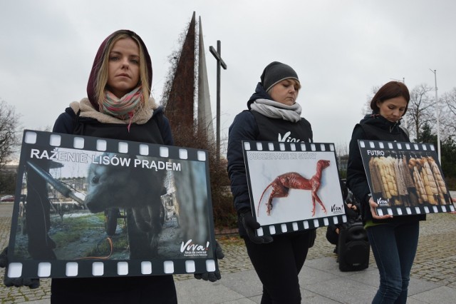 Protest Vivy w Piotrkowie przeciwko hodowli zwierząt futerkowych