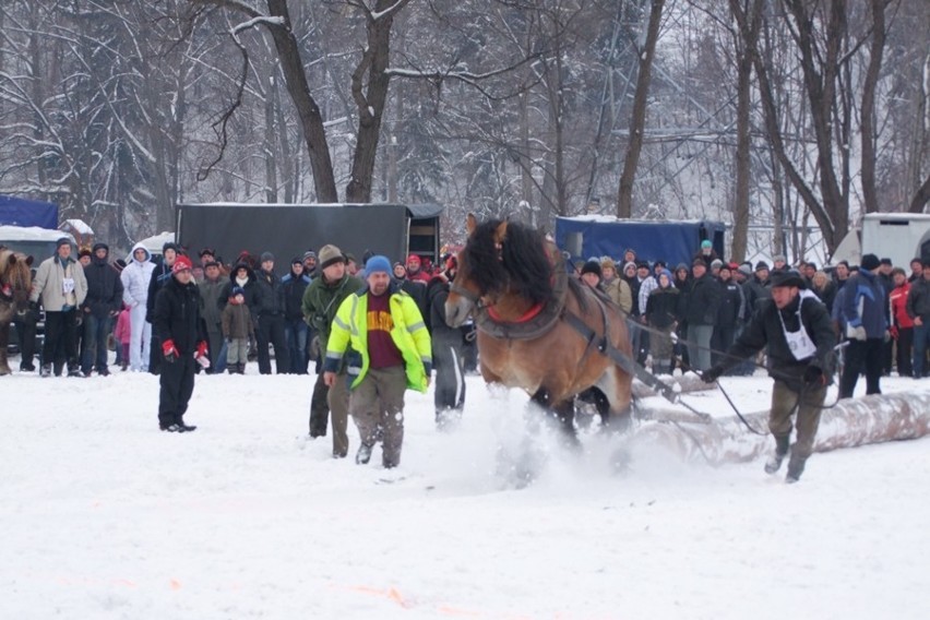 Węgierska Górka: Międzynarodowe Zawody Furmanów 2013 [ZOBACZ ZDJĘCIA]