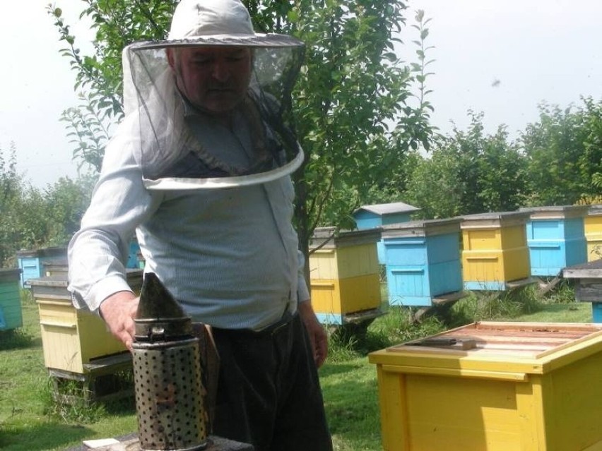 Opolscy pszczelarze chowają miód do magazynów. Cena spadła...