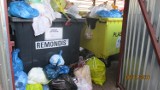 Rośnie góra śmieci w Gdyni. Operator mówi, że nadrabia zaległości [ZDJĘCIA]