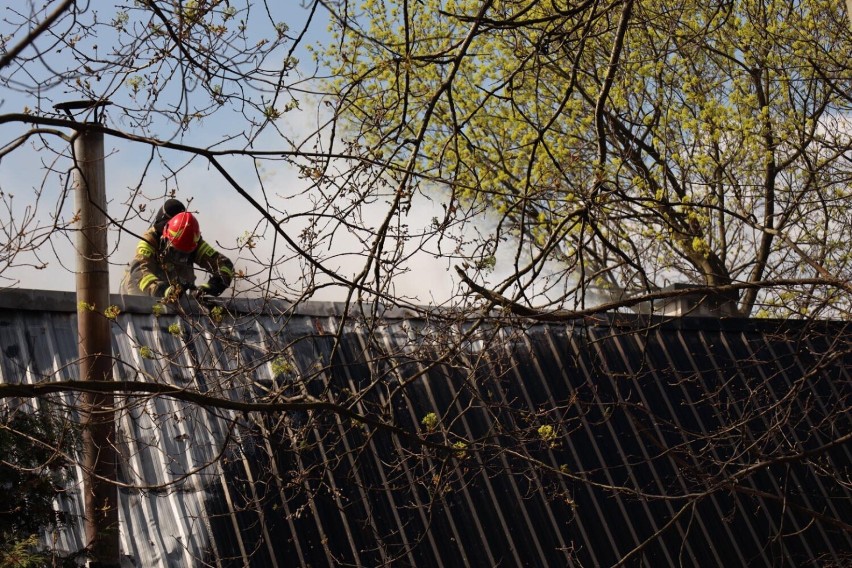 Pożar domku na terenie ogródków działkowych Malwa w Olkuszu