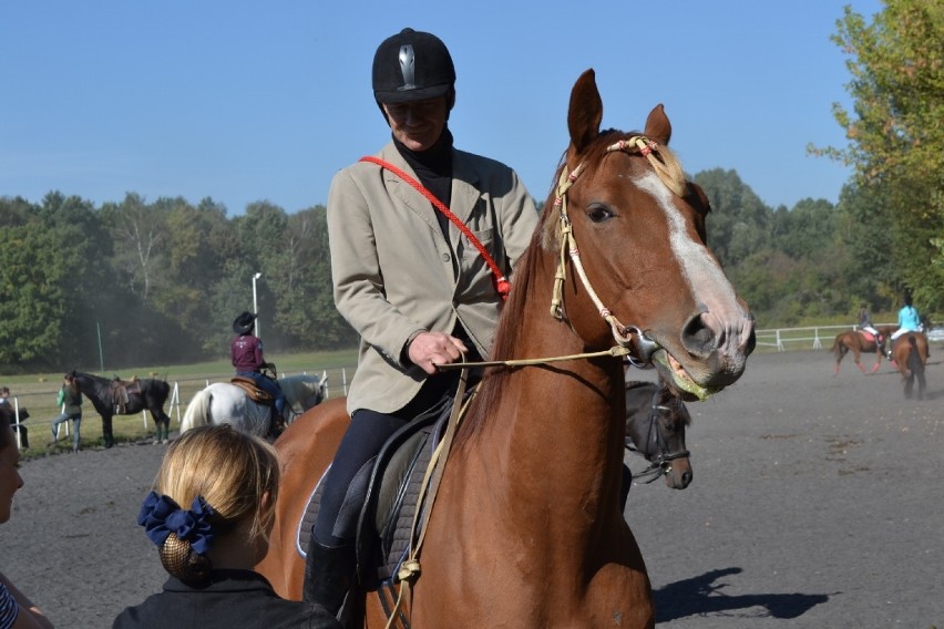 Hubertus 2015 Zabrze