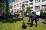 Bydgoszcz: Piknik szkolny na Wyżynach