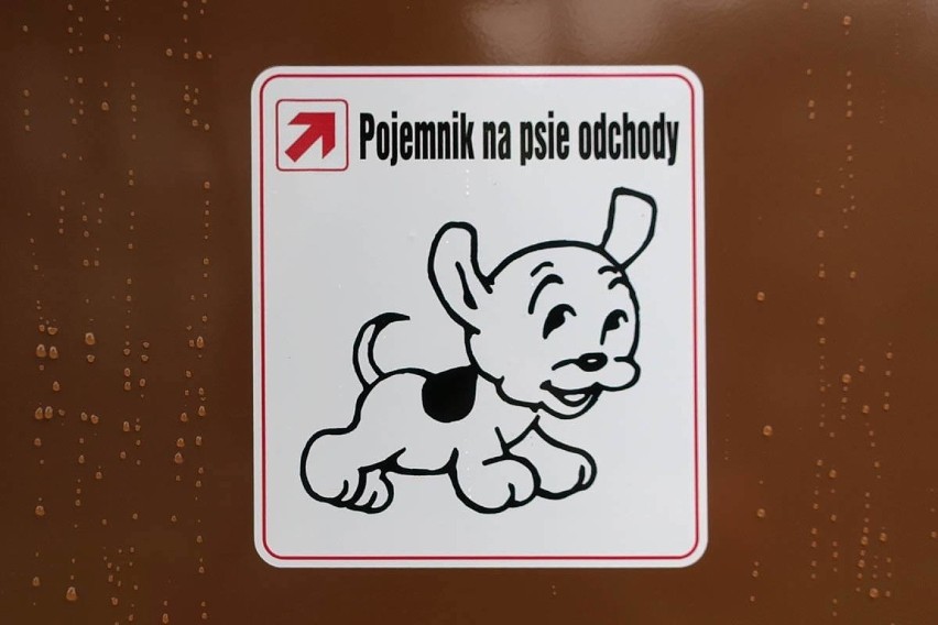 Gmina apeluje: Posprzątaj po swoim psie!