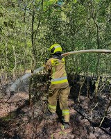 Zagrożenie pożarowe w lasach powiatu starogardzkiego. Strażacy mają ręce pełne pracy 