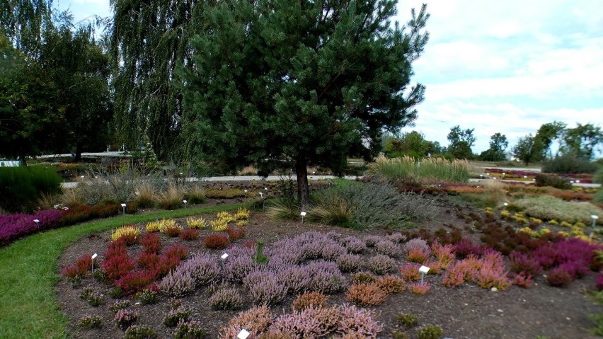 Ogród Botaniczny w Kielcach kwitnie niemal cały rok. O...