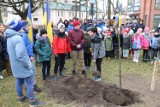 „Drzewko Pokoju" w Trzciance. Posadzono je na znak solidarności z Ukrainą [ZOBACZ ZDJĘCIA]