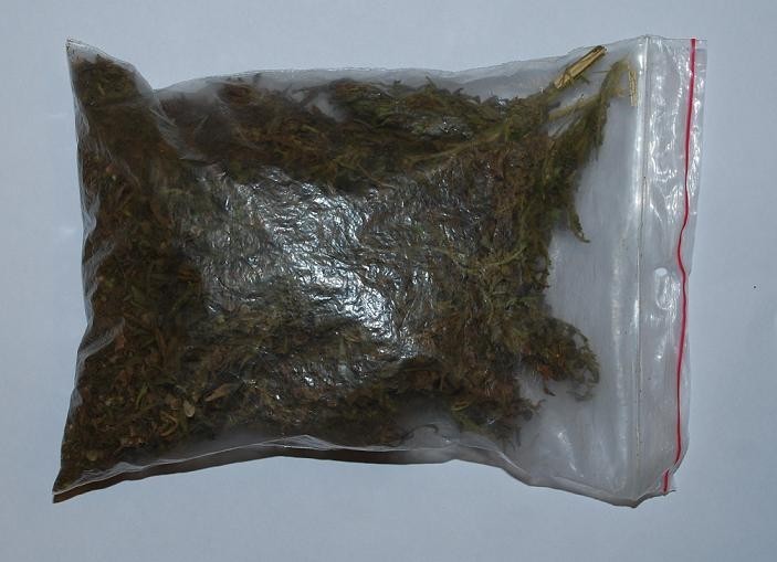 Policja Kwidzyn: 30 gramów marihuany, krzak oraz 17 liści konopi indyjskiej w domu 18-latka