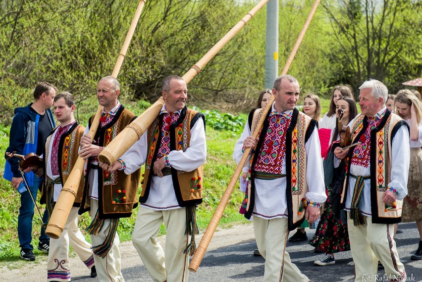 Redyk Karpacki 2019. W Bieszczadach odbył się tradycyjny spęd owiec