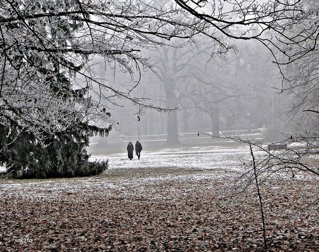 Piękny, zimowy Wrocław (ZDJĘCIA)