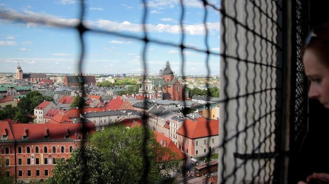 Wawel zajmuje powierzchnie 7040 m², na której mieści się 71 sal wystawowych. Na zwiedzających czekają liczne Komnaty i Apartamenty Królewskie, Skarbiec Koronny i Zbrojownia, Smocza Jama, Wawel Zaginiony oraz Ogrody Królewskie. Z Baszty Sandomierskiej i Dzwonu Zygmunta widać piękną panoramę Krakowa oraz dziedziniec zamku.