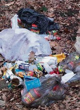 Rybnik: Dzikie wysypiska śmieci w Palowicach. Lasy pełne są przeróżnych śmieci