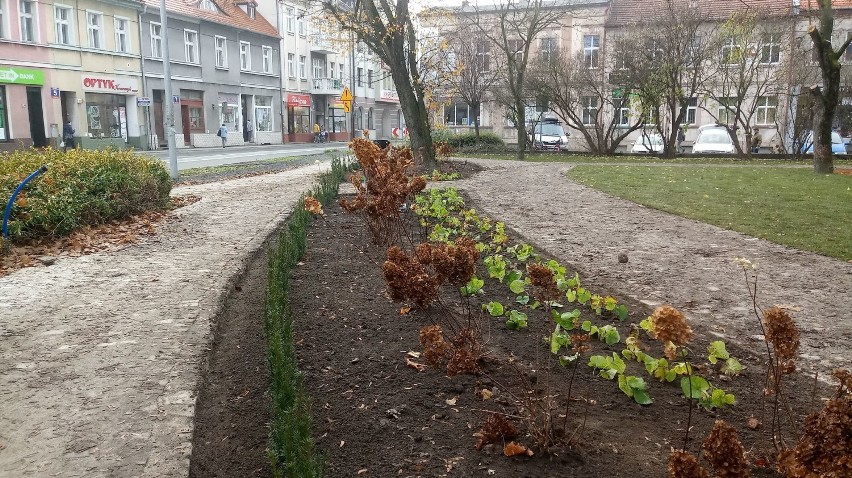 Tak skwer wyglądał przed akcją złodziei