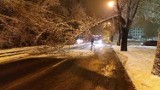 Śląskie: Dosypało śniegu! Połamane drzewa, ludzie bez prądu, opóźnione pociągi, wypadki... [ZDJĘCIA]