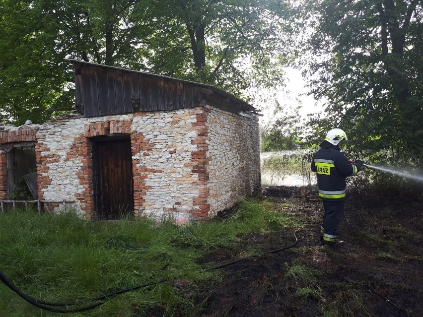 Gmina Żytno. Pożar w Polichnie. Palił się budynek i suche trawy