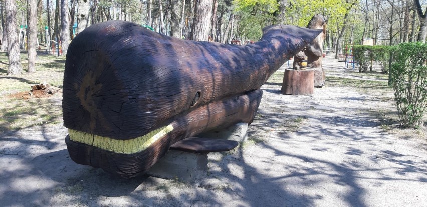 Powrót do kontaktu z przyrodą. Piękna pogoda, poluzowanie ograniczeń zachęcają do spacerów i odwiedzin parków oraz lasów