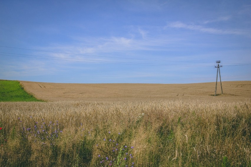 Wirtualny spacer po zakątkach Bogdanowa [ZDJĘCIA]