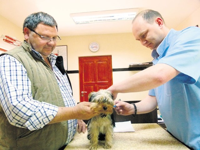 Jak mówi weterynarz Michał Skrzek, coraz mniej osób decyduje się na zaczipowanie psa