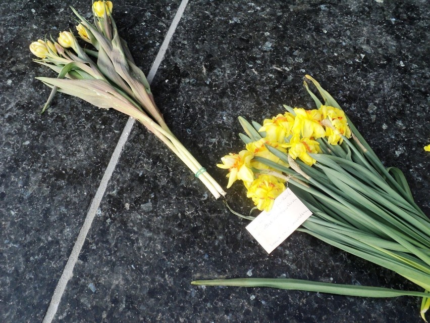 Kwiaty złożone pod Pomnikiem Bohaterów Getta. Żonkile są...