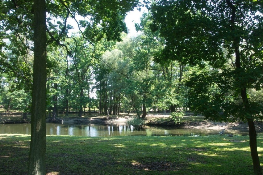 Park Chopina to najpopularniejszy i największy park w...