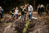 Siewierz: Posadzili 2 tysiące drzew podczas pikniku ekologicznego