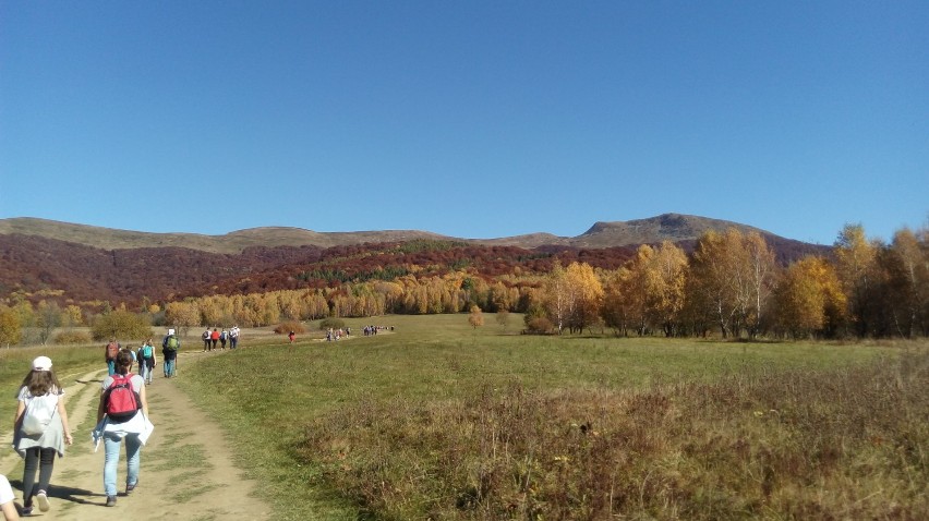 Tarnica, najwyższy szczyt polskich Bieszczad (1346 m), to...