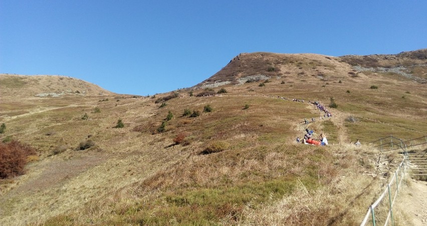 Tarnica, najwyższy szczyt polskich Bieszczad (1346 m), to...