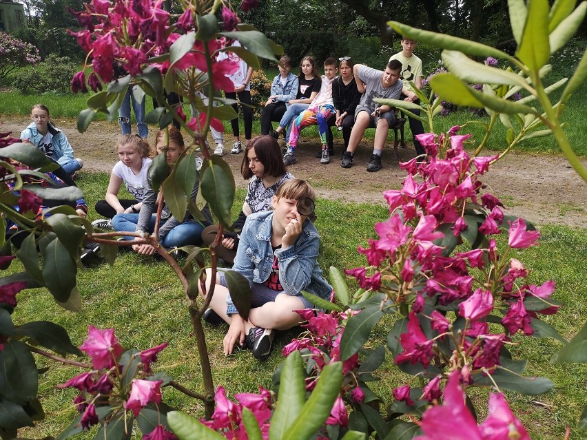 Park Dendrofarma przy pałacu w Dalkowie. Warto zobaczyć to...